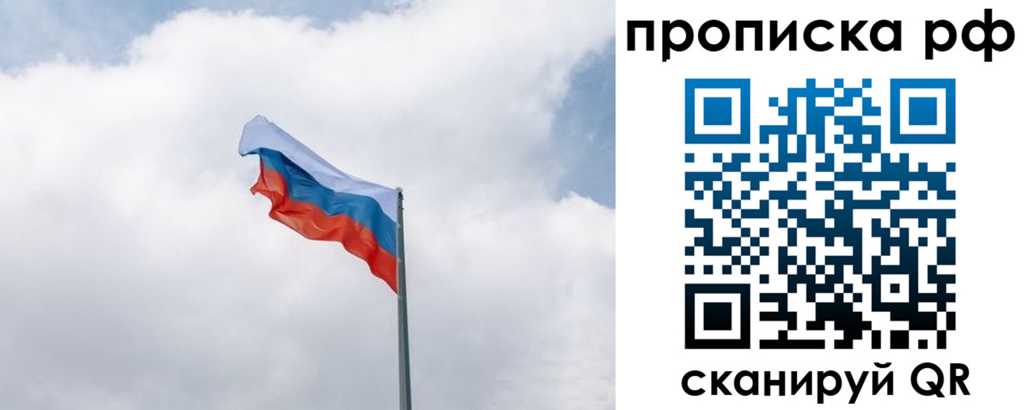 прописка гарантия в Сланцах